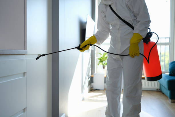Best Office Mold Removal Services  in Spanay, WA