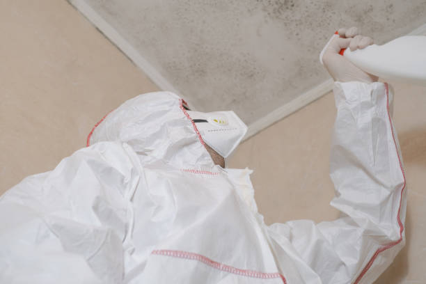 Best Fast Mold Removal  in Spanay, WA