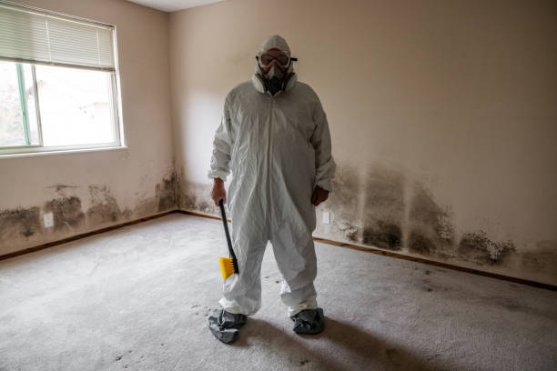 Best Mold Testing  in Spanay, WA